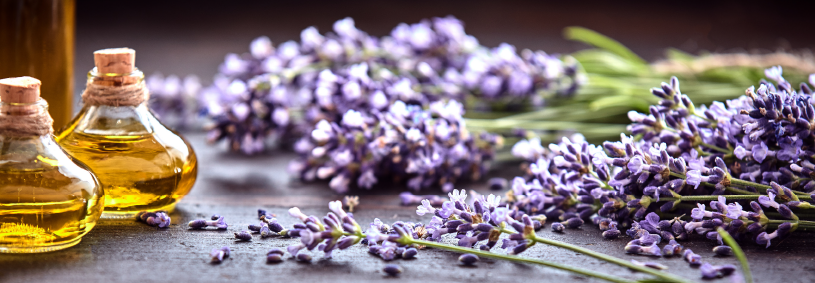 Bunches of lavender sitting next to two lavender oil bottle