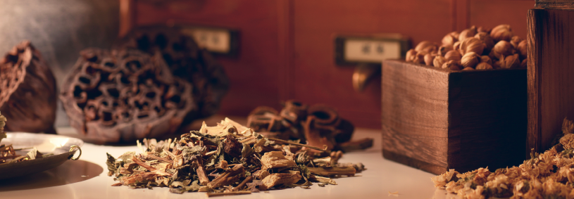 Chinese herbal medicine dried herbs and vegetables sitting in front of apothecary cabinet