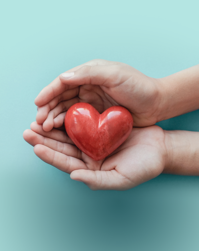 Hands cupped together hoding a heart to represent protection and insurance