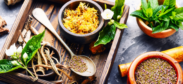 A selection of medicinal herbs and roots displayed attractively