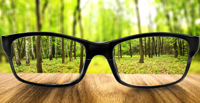 Blurred forest view with glasses in the foreground which bring forest into focus through glass lenses