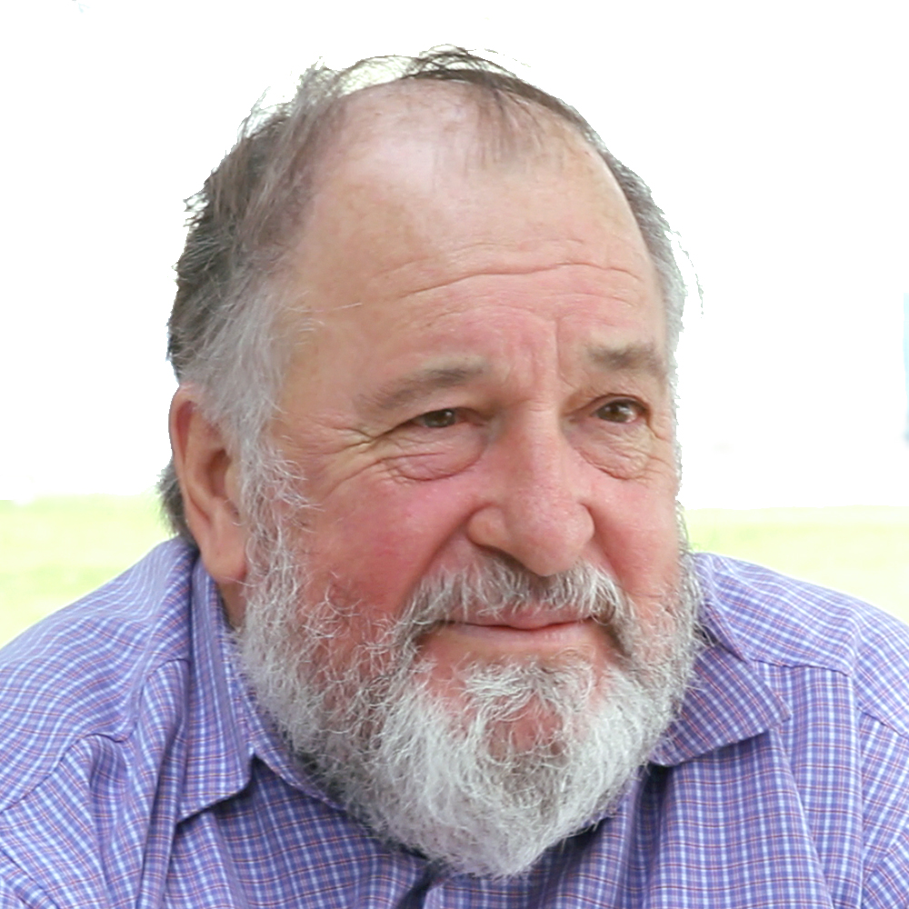 Denis Stewart