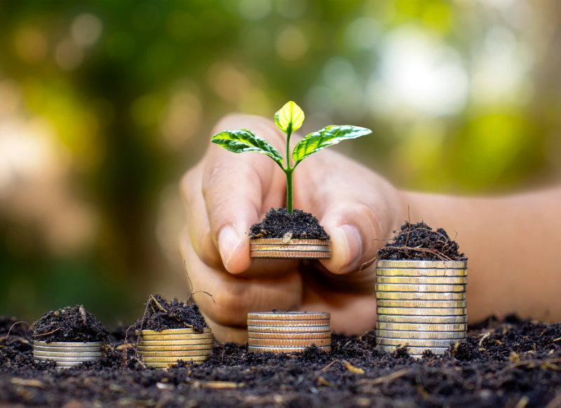 Hand placing small plant in soil over stacked coins, representing financial growth.