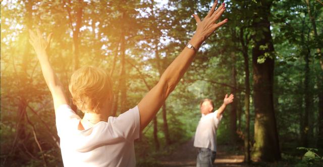Two people with arms outstretched, enjoying a sunny forest walk.