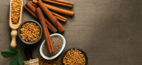 Dried spices, including cinnamon sticks, fenugreek seeds, and other seeds, in small bowls and scoop, arranged on a textured surface.
