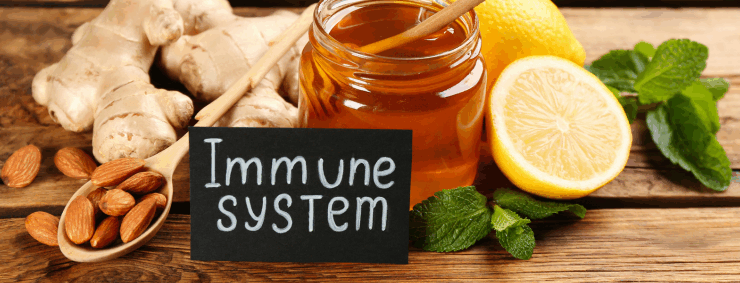 Immune System