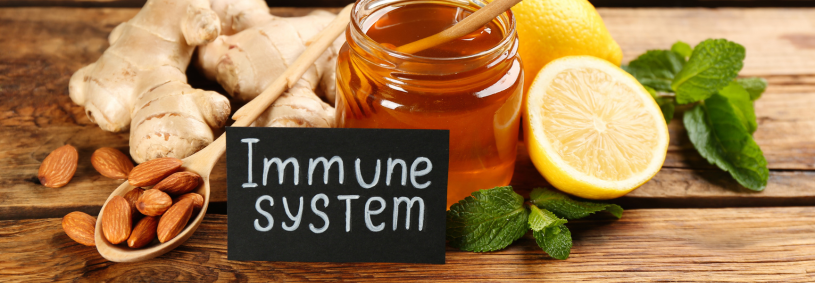 Immune-System