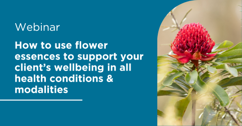Bush Flower Essences 2