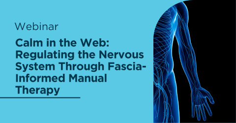 Calm in the Web Regulating the Nervous System Through Fascia Informed Manual Therapy