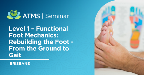 Foot Mechanics 3