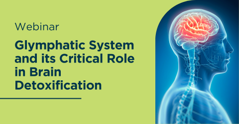 Glymphatic System and its Critical Role in Brain