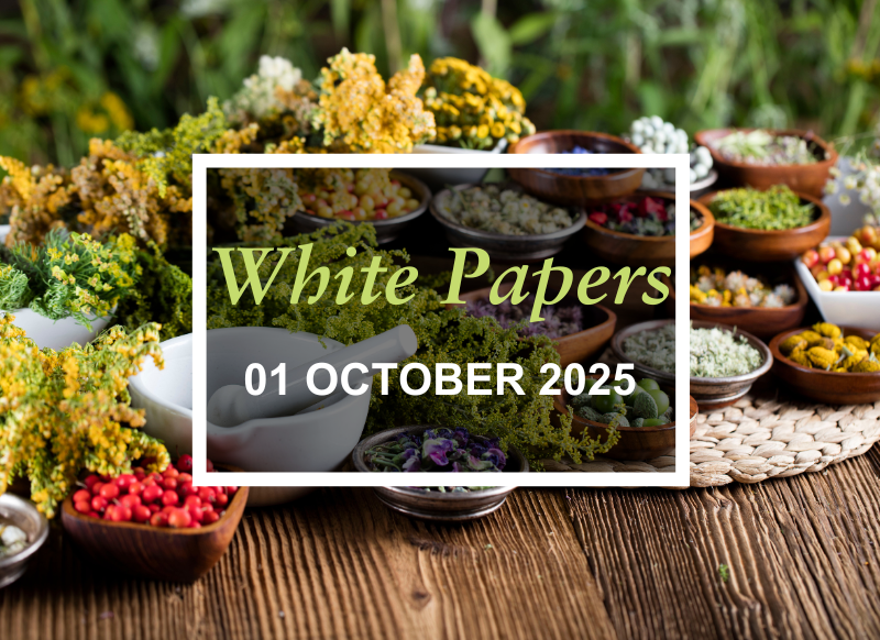 White-Paper-1-October-2025