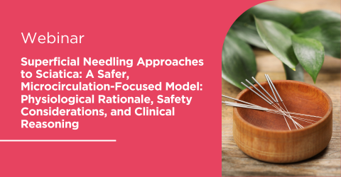 Superficial Needling Approaches to Sciatica A Safer Microcirculation Focused Model Physiological Rationale Safety Considerations and Clinical Reasoning