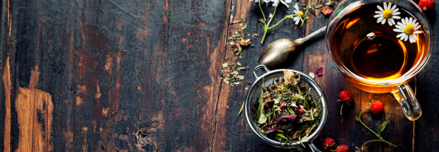 Untitled design - 2026-01-29T091915.610