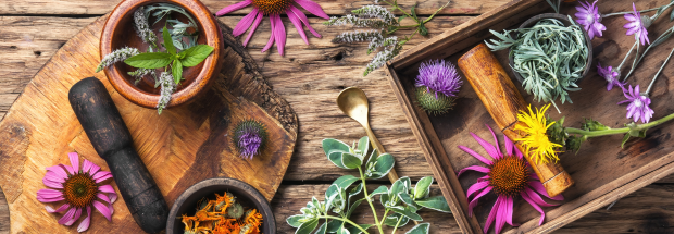 Untitled design - 2026-01-29T092607.885