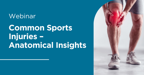 Breast Implant Illness Pelvic Mesh 3