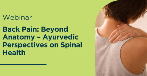 Back Pain Beyond Anatomy – Ayurvedic Perspectives on Spinal Health 2
